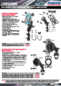 Lowdown de novembre 2025