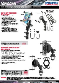 2025 November Lowdown